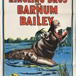 TWO POSTERS FOR RINGLING BROS AND BARNUM & BAILEY