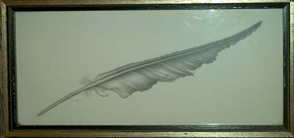 FEATHERS - PAIR OF PENCIL DRAWINGS
