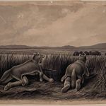 NATIVE AMERICANS HUNTING - TWO DRAWINGS