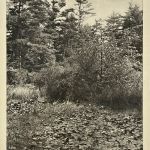 PHOTOGRAVURES OF MANCHESTER-BY-THE-SEA, BEVERLEY FARMS, PRIDE'S CROSSING