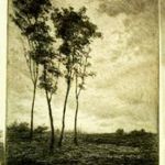 UNTITLED (LANDSCAPE WITH FOUR TREES)