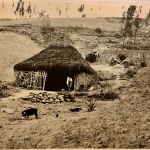 COLLECTION OF PEACE CORPS PHOTOGRAPHS