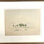 OASIS OF SEVEN PALMS CALIFORNIA