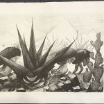 MAGUEYAS Y NOPALES or INDITOS