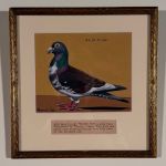 PORTRAITS OF RACING PIGEONS; CHARTER OF THE JERSEY CITY RACING CLUB, &