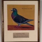 PORTRAITS OF RACING PIGEONS; CHARTER OF THE JERSEY CITY RACING CLUB, &