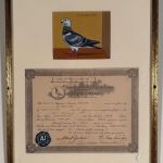 PORTRAITS OF RACING PIGEONS; CHARTER OF THE JERSEY CITY RACING CLUB, &