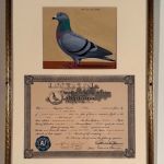 PORTRAITS OF RACING PIGEONS; CHARTER OF THE JERSEY CITY RACING CLUB, &
