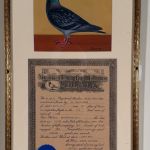 PORTRAITS OF RACING PIGEONS; CHARTER OF THE JERSEY CITY RACING CLUB, &