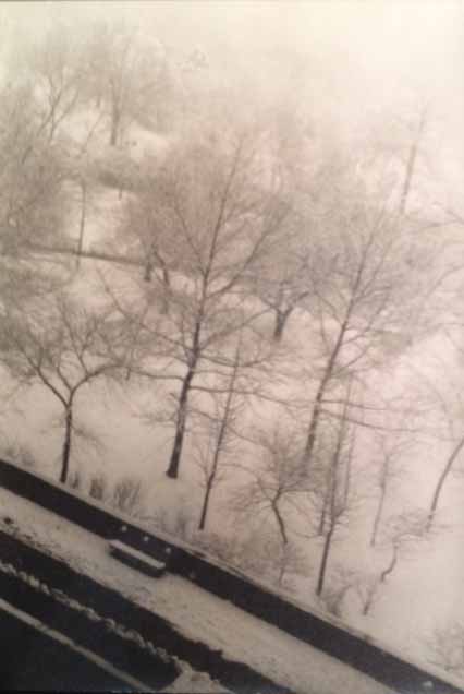 SNOW IN CENTRAL PARK - FROM THE WINDOWS OF 101 CPW