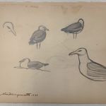 SEA GULLS, PORT CLYDE MAINE - PRELIMINARY DRAWINGS