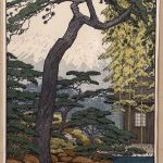 A PINE TREE OF THE FRIENDLY GARDEN