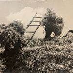 COLLECTION OF PEACE CORPS PHOTOGRAPHS